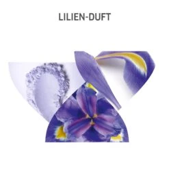 Color Recharge Color Refreshing Conditioner Warm Blonde Blond Recharge De Wella -Wella Wella Color Recharge Blond Recharge Color Refreshing Conditioner Warm Blonde 75438x5 6