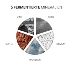 Essential Shampoo De Wella -Wella Wella Essential Shampoo 87396x4 13